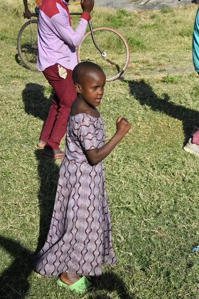 DSC_2875 (Large).JPG